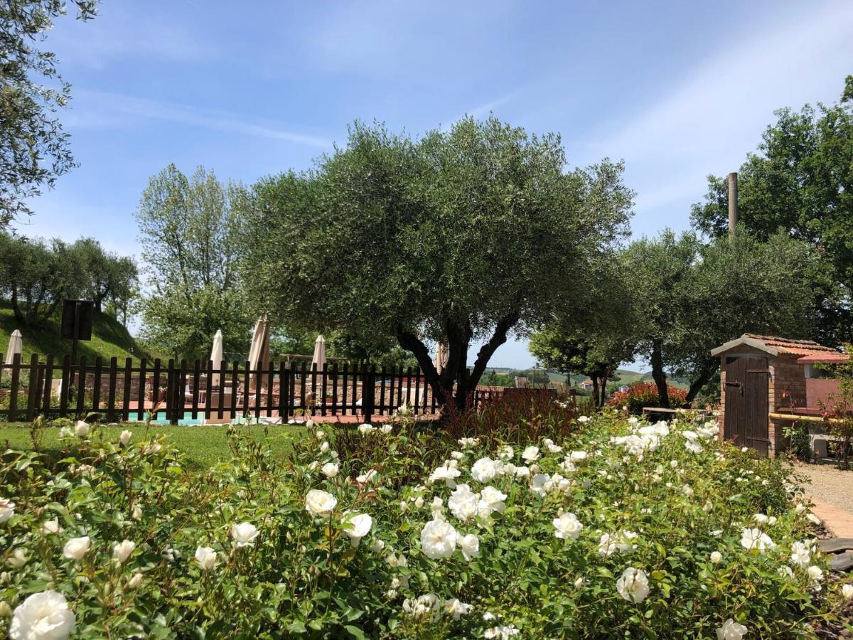 Podere Boscone Gambassi Terme Exteriér fotografie